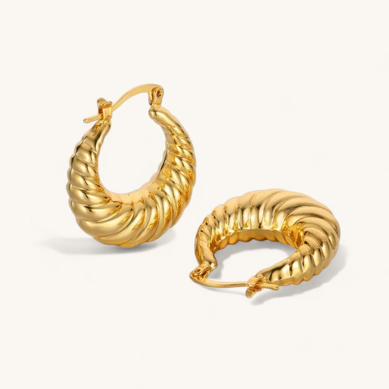 Twisted Hoop Earrings